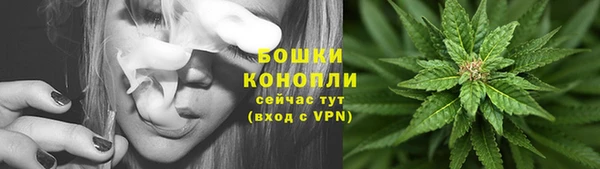 ALPHA PVP Медвежьегорск