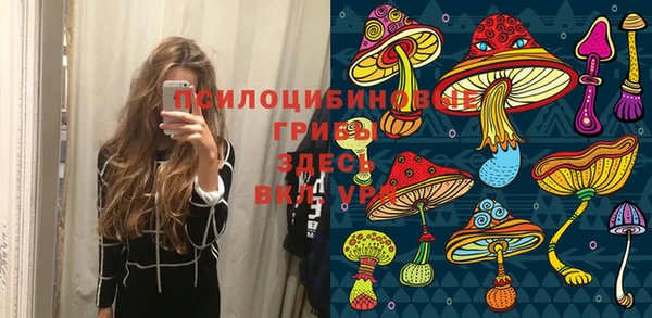 спайс Мегион