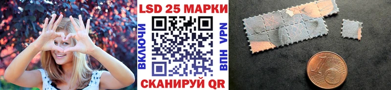 дарк нет наркотические препараты  купить наркоту  Елизово  Наркотические марки 1,5мг 