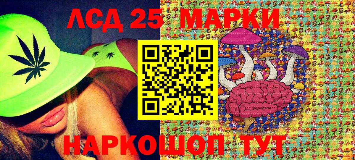 Елизово  Наркотические марки 1,5мг  где купить наркоту  Вход с VPN 