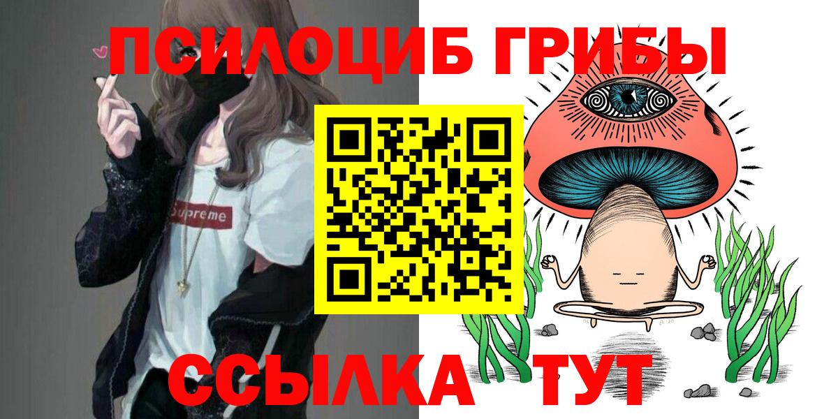 Псилоцибиновые грибы GOLDEN TEACHER  Вход с VPN  Елизово 
