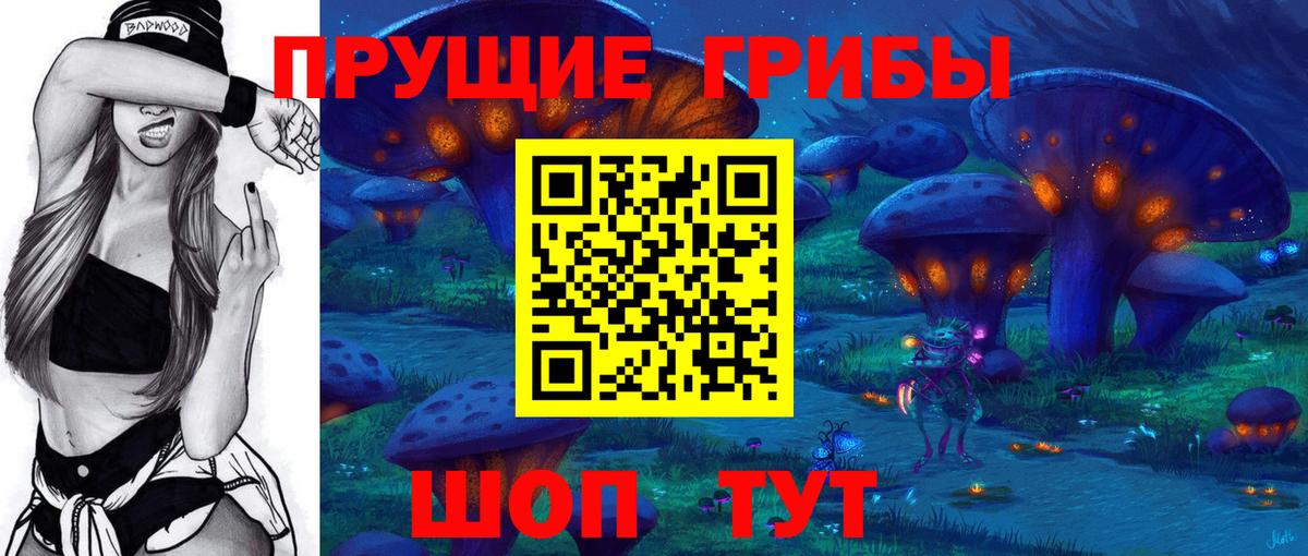 где купить   Елизово  Галлюциногенные грибы мицелий  Псилоцибиновые грибы Magic Shrooms 