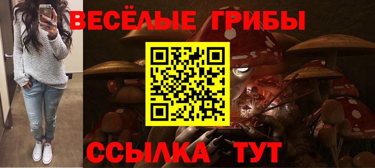 Галлюциногенные грибы мухоморы Елизово